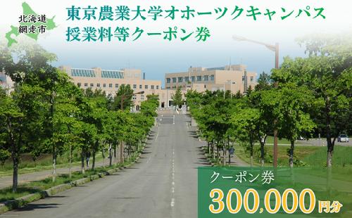 東京農業大学オホーツクキャンパス授業料等300,000円分クーポン券 ABBD010