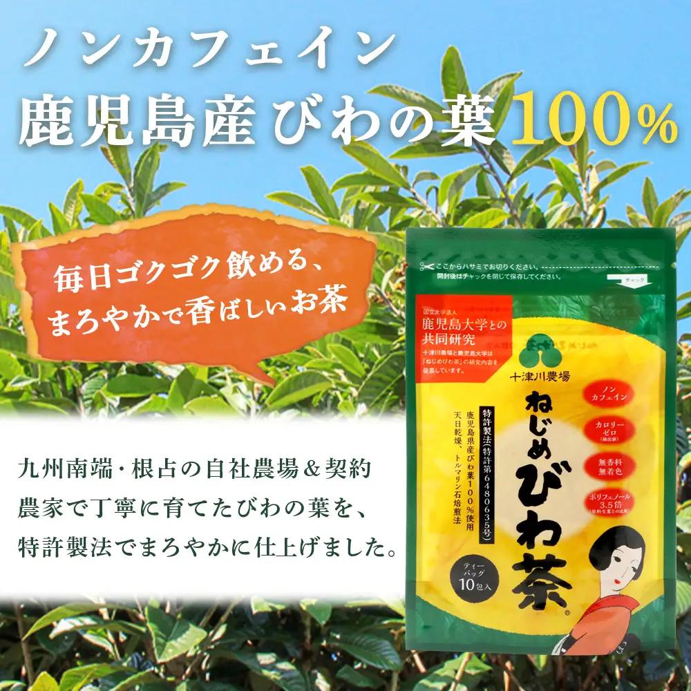 【 お試し 2種セット】鹿児島県産 ねじめびわ茶 ティーバッグ10包入・ボトル缶 3本 TO-521 |国産 お茶 健康茶 カロリーゼロ 缶 茶葉 持ち運び 無香料 無着色 ポリフェノール ノンカフェ