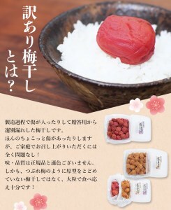 梅干し 大粒 1㎏ 塩分約8% しそ梅干し ご家庭用 【khs120】
