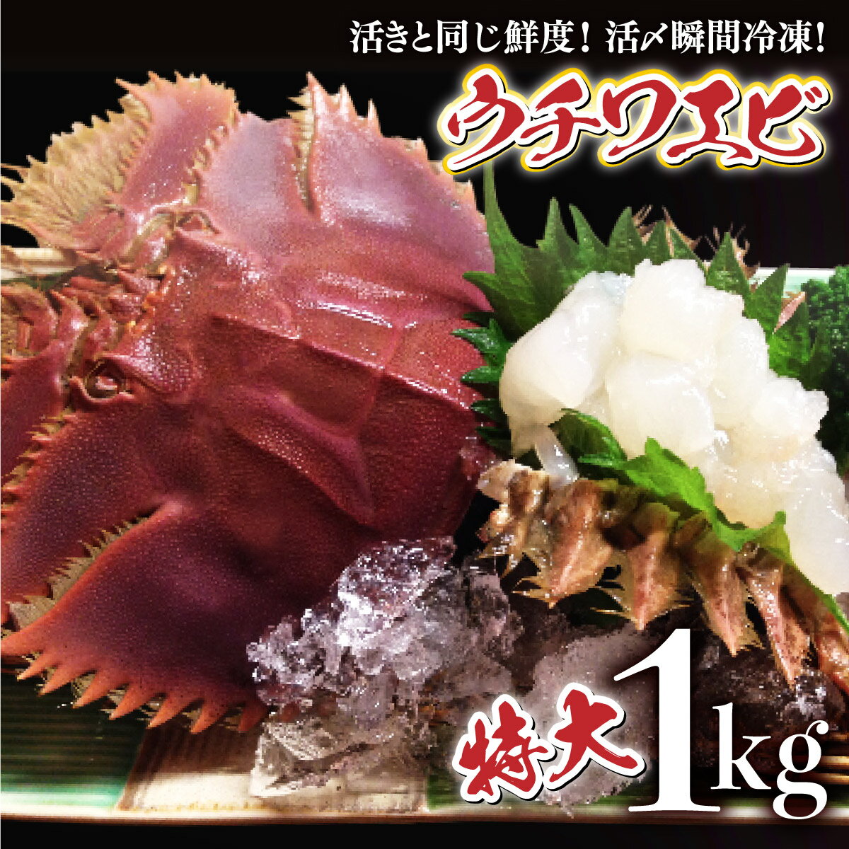 【ふるさと納税】活〆ウチワエビ特大5〜6匹 1000gセット＜数量限定＞ 国産 東洋町産 セット うちわえび 新鮮 海鮮 高知県 東洋町 四国 お取り寄せ 送料無料 S210