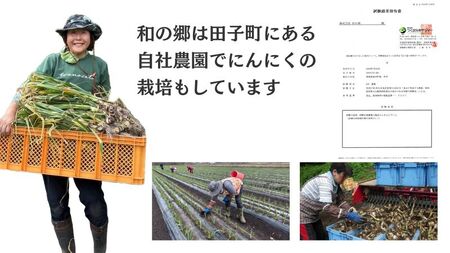 【訳あり】田子（たっこ）バラにんにく約500g（青森県田子町産にんにく中～大粒サイズ混合）