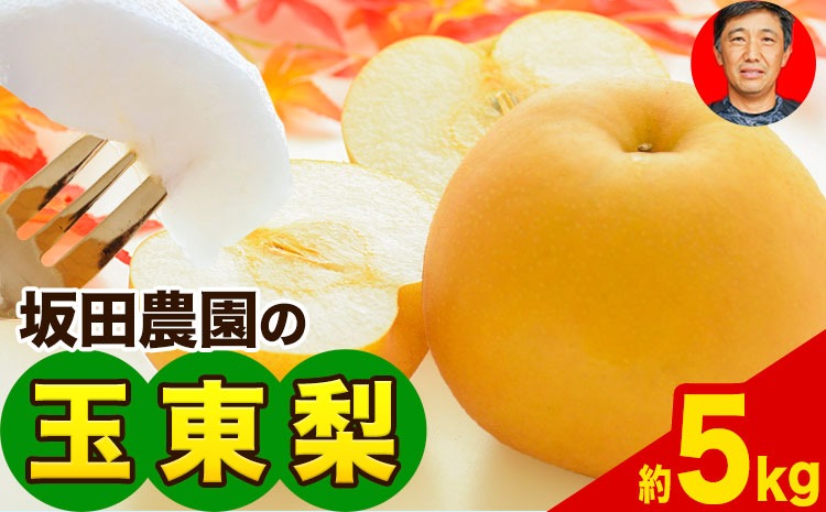 『坂田農園』の玉東梨 約5kg《8月中旬-9月末頃出荷》 熊本県玉名郡玉東町産『坂田農園』なし 果物 スイーツ フルーツ デザート スムージー 熊本県玉東町---sg_csktns_bc8_25_14000_5kg---