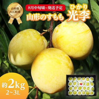 ふるさと納税 大江町 《先行受付》すもも「光李(ひかり)」約2kg 2〜3L【8月中旬頃〜発送予定】001-080