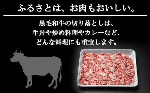 ES65 新潟牛 南魚沼産 にいがた 黒毛和牛 切り落とし 500ｇ