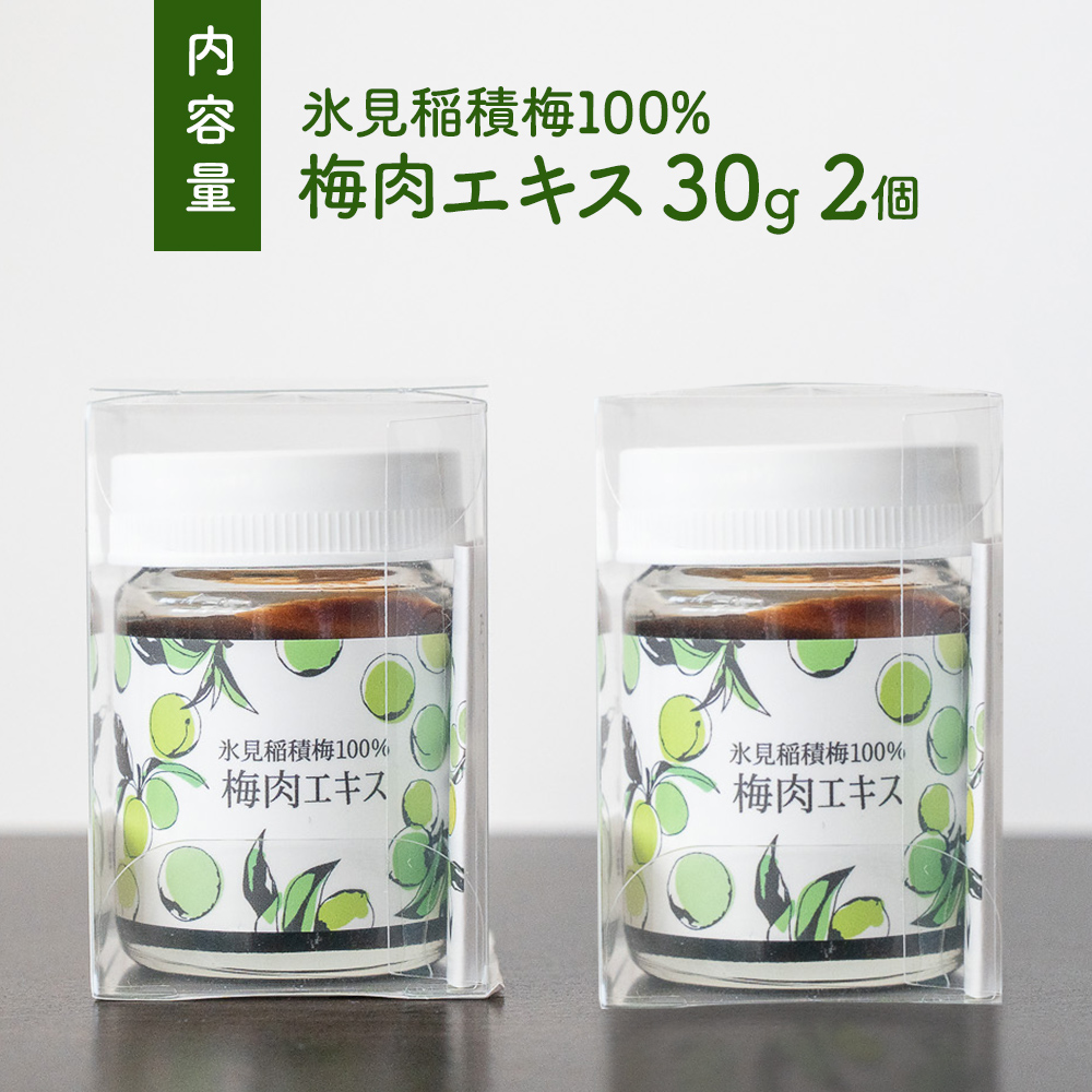 梅肉エキス 氷見稲積梅100% 2個 富山県 氷見市 国産 うめ 青