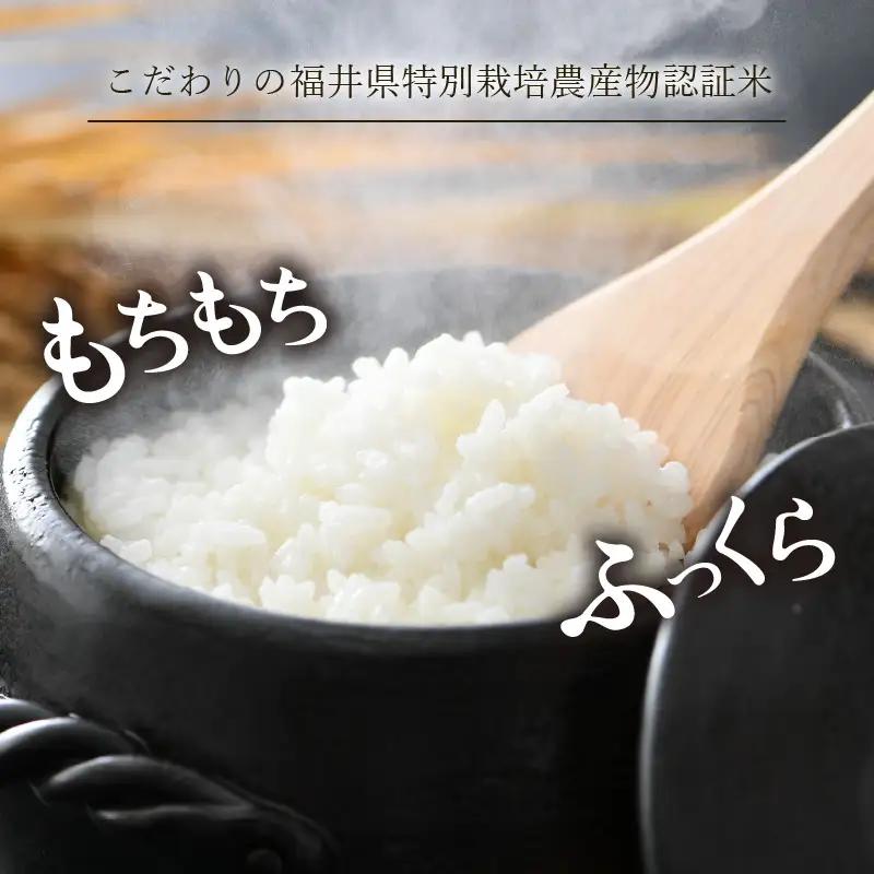 【先行予約】【令和8年産 新米】 ミルキークイーン 精米 5kg×2袋 （計10kg） 特別栽培米 農薬不使用 化学肥料不使用 ／ 高品質 鮮度抜群 福井県産 ブランド米 ※2026年10月上旬以降順