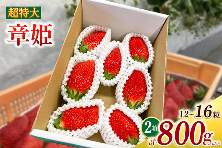 超特大いちご(章姫)　400g以上(6～8粒)×2箱・O046-28