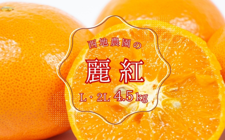 【先行予約】西地農園の麗紅 (れいこう) 4.5kg L・2L【2月初旬から順次発送】 / 麗紅 れいこう 柑橘 みかん ミカン 柑橘 果物 くだもの 国産 数量限定 ご家庭用 家庭用【mnd007A】