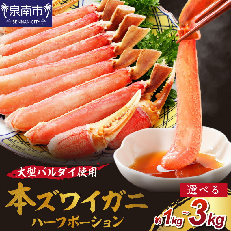 【ふるさと納税】【年内配送】選べる 内容量 ！生ズワイガニむき身 ハーフポーション 大型バルダイ使用 約1kg 約2kg 約3kg 折れなし選別