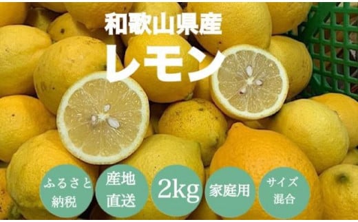 
【産地直送】和歌山県産　レモン　2kg　家庭用
