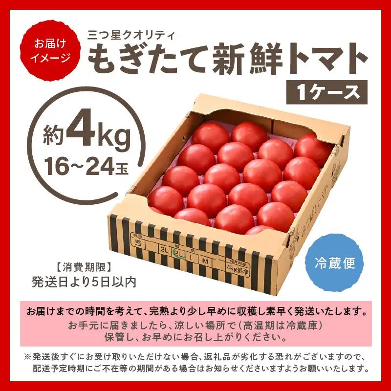 新鮮トマト 1ケース 約4㎏ (16～24玉入) とまと [A-2606]