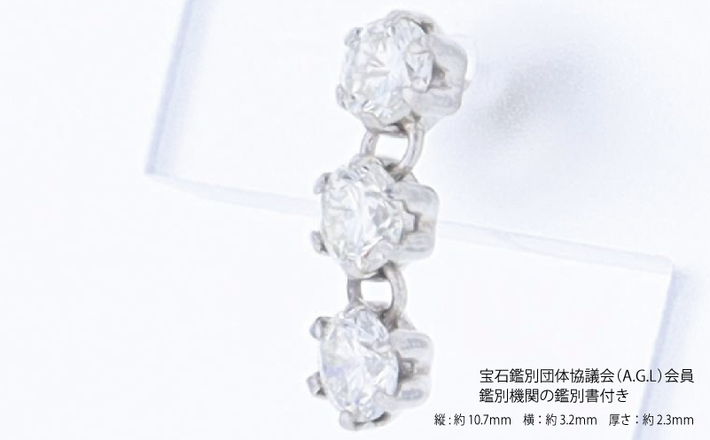 ARC-EN-CIEL PTダイヤピアス（計 0.50ct）【鑑別書付き ジュエリー プレゼント ギフト ファッション アクセサリー 贈り物 贈答 お祝い 記念日】 J090