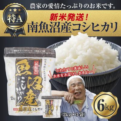 ふるさと納税 南魚沼市 令和7年産 南魚沼産 コシヒカリ 6kg (美味しいお米の炊き方ガイド付き)
