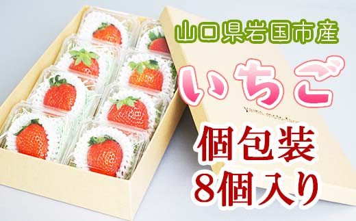 
山口県岩国産「いちご」個包装 8個入り
