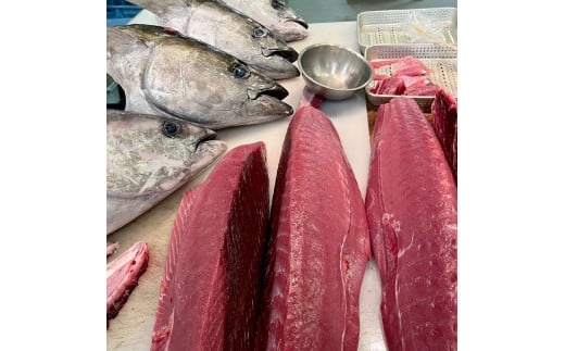 天然マグロ ブロック 約400～500g 4～6人前 まぐろ 赤身 鮪 魚