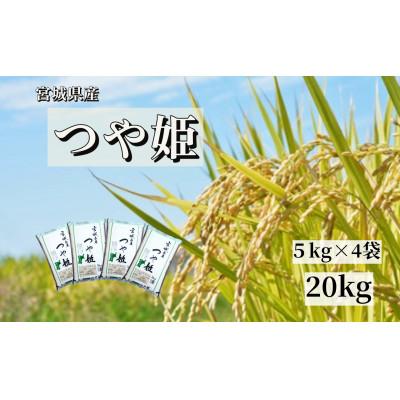 ふるさと納税 栗原市 【令和7年産】宮城栗原産 つや姫 白米20kg (5kg×4袋)