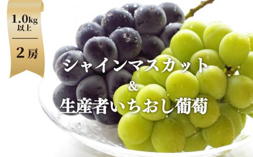 【2026年先行予約】シャインマスカット＆生産者いちおし葡萄 ２房/計1.0kg~ (岡山県産) 【KF-B010-03】