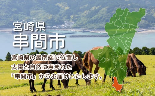 TRT07 若鶏よりどり3.6kgセット