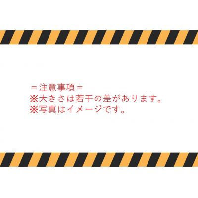 ふるさと納税 湯梨浜町 本漆塗り箸〔21cm〕・箸置きセット(173K.) |  | 02