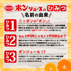 ポンジュース (800ml×6本) | ｵﾚﾝｼﾞｼﾞｭｰｽ みかん 愛媛県 松山市【EI001111】