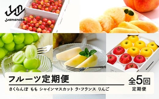 
            【先行予約】【春始まり】フルーツ定期便 全5回 2026産 令和8年産 さくらんぼ 佐藤錦 白桃 ぶどう シャインマスカット ラフランス ラ・フランス りんご サンふじ シナノゴールド  果物 送料無料 ns-ft5xx-sp ※沖縄及び離島への配送不可
          