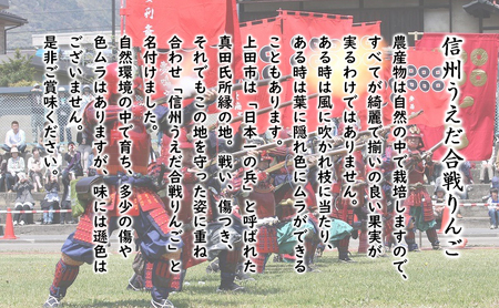 訳あり りんご JA信州うえだ 合戦りんご 秋映 約10kg リンゴ 林檎 果物 くだもの フルーツ 信州 長野 離乳食 訳アリ わけあり 傷
