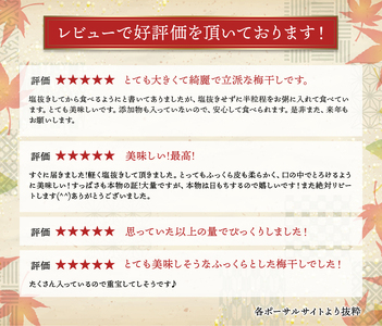 梅干し 梅干 訳あり わけあり 南高梅 梅 昔ながら まろやか 無添加 塩分濃度約20％ 大容量 大粒 肉厚 おにぎり 焼酎 梅酒 自家栽培 健康  / 訳あり品 数量限定 完熟南高梅使用梅干し 1.