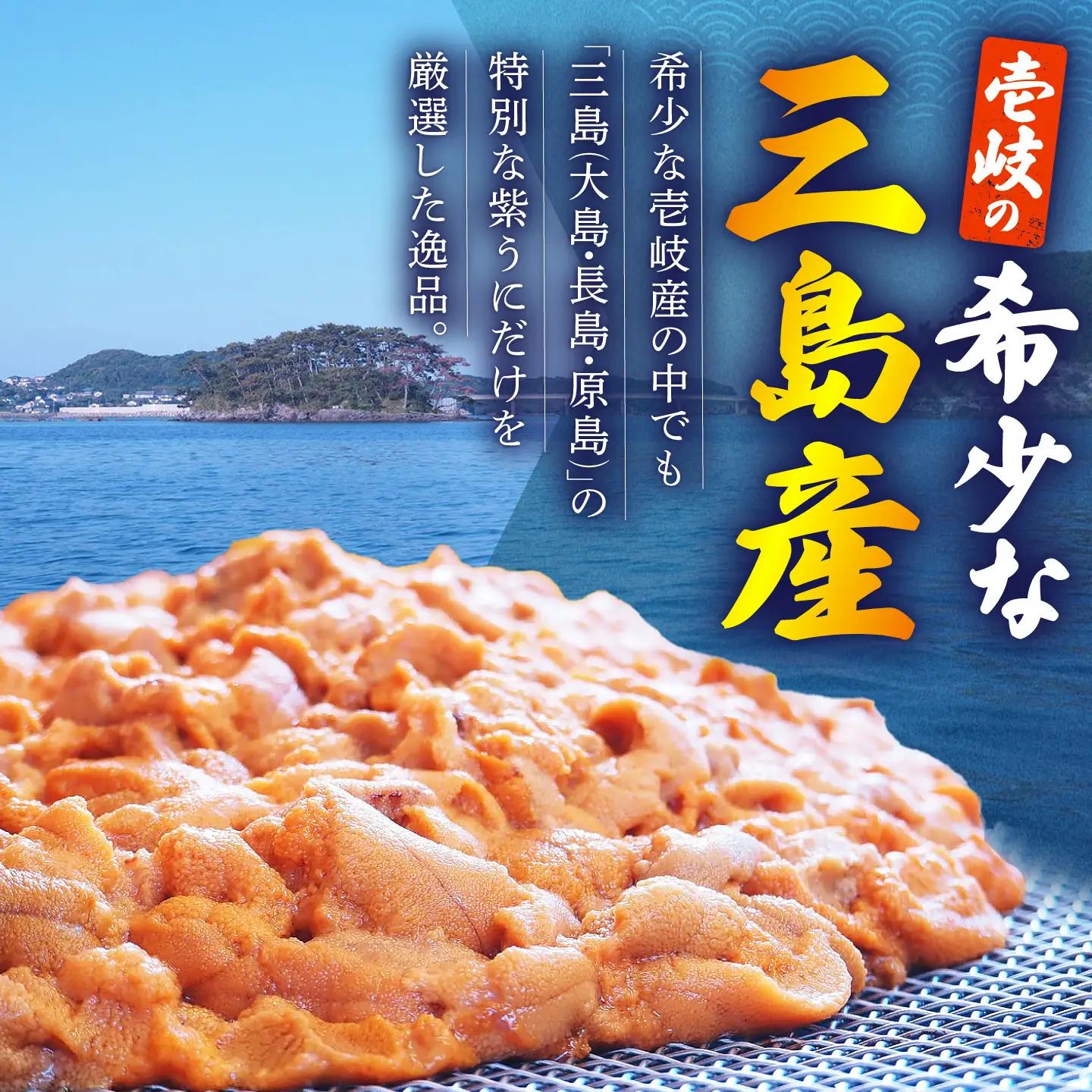 うに  60g 2本 JBU001 壱岐市 ウニ
