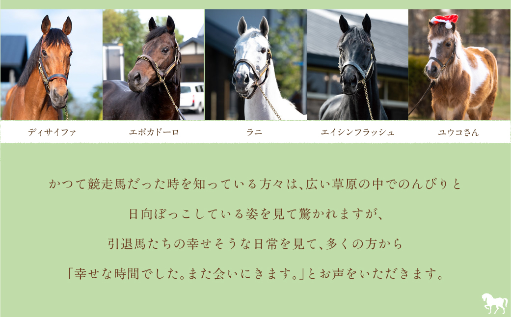 【1000万円コース 返礼品無し】より多くの引退馬の幸せな余生を願う　Yogiboヴェルサイユリゾートファーム BRTV024-07