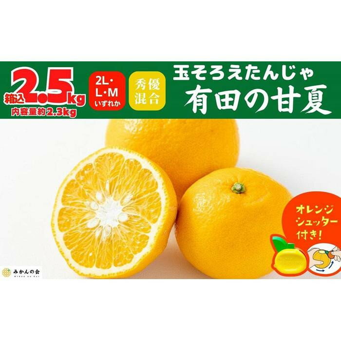 【ふるさと納税】【選べる容量】甘夏 玉ぞろい 箱込 2.5kg ( 内容量約 2.3kg )～ 10kg ( 内容量約 9.2kg )秀品 優品 混合 2L L M サイズのいずれか 和歌山県 産地直送 ［皮むき器付き］ ［みかんの会］ | フルーツ 果物 くだもの 食品 人気 おすすめ 送料無料