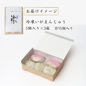 冷凍いがまんじゅう 15個入り 和菓子 菓子 饅頭 まんじゅう　銘菓　お茶菓子 冷凍