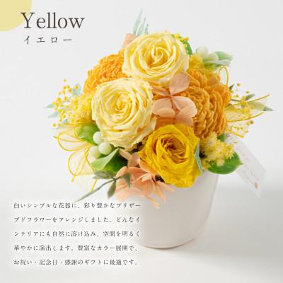 ふるさと納税 羽島市 プリザーブドフラワーアレンジ 【ポコ ア ポコ(イエロー)】 |  | 01