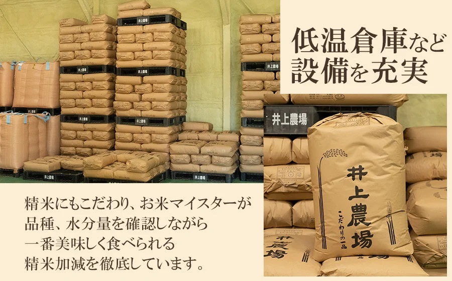 【令和7年産】 井上農場の特別栽培米 つや姫 無洗米 6kg（2kg×3袋）　K-756　山形県鶴岡市