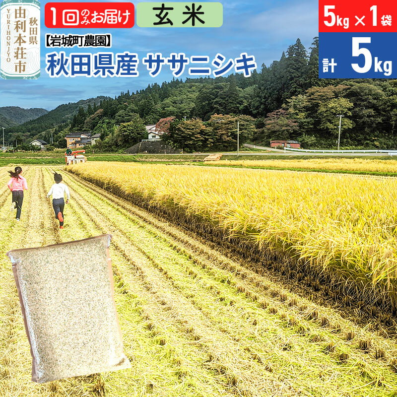 【ふるさと納税】《令和7年産》【玄米】ササニシキ 5kg(5kg×1袋) 秋田県 由利本荘市産 令和7年産 真空パック 岩城町農園