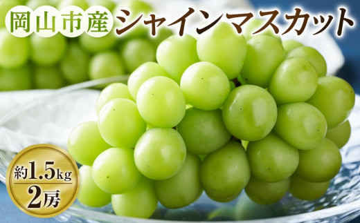 ぶどう 2026年  シャインマスカット 2房（約1.5kg） ブドウ 葡萄 岡山市産 国産 フルーツ 果物 ギフトタンポポ農園 | フルーツ 果物 くだもの ぶどう ブドウ シャインマスカット 国産 岡山県産 食品 人気 おすすめ  送料無料 ギフト 贈り物 贈答品 プレゼント 果物 くだもの フルーツ ぶどう ブドウ シャインマスカット