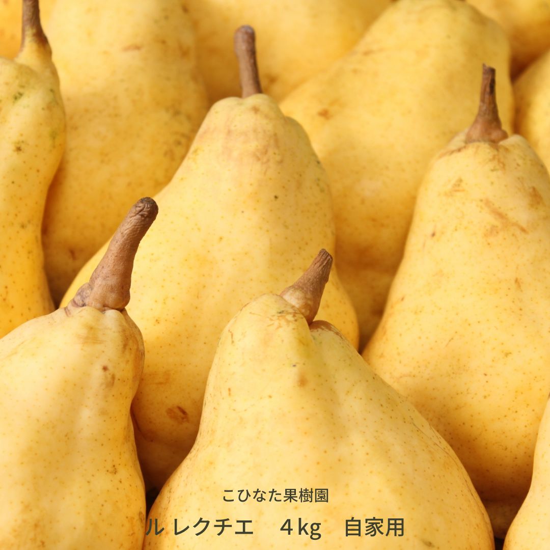 【ふるさと納税】 【先行予約】ルレクチエ 4kg 自家用 [2025年発送分] 令和7年産 洋梨 新潟 三条 燕三条 果物 [こひなた果樹園] 【017S161】