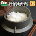 【ふるさと納税】【令和6年産・新米】米 5kg【低農薬】無洗米 福井県産 コシヒカリ などブランド米（全4品種）の中から1つ選択