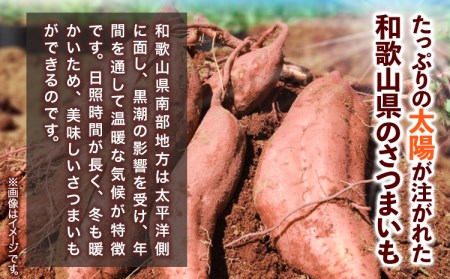 和歌山県のさつまいも 訳あり ご家庭用 5kg 在来種 さつまいも
