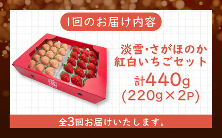 【2026年発送分 先行予約】【全3回定期便】淡雪・さがほのか 紅白いちごセット 計1.32kg （220g×2パック×3回） / いちご いちご いちご いちご いちご いちご いちご / 佐賀県 
