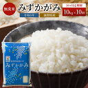 【ふるさと納税】米 定期便 10ヶ月 みずかがみ BG無洗米 10kg 令和6年産新米 ふるさと応援特別米 無洗米 お米 こめ コメ おこめ 白米 10回 お楽しみ 　お届け：ご入金の翌月下旬に出荷いたします・納期指定不可