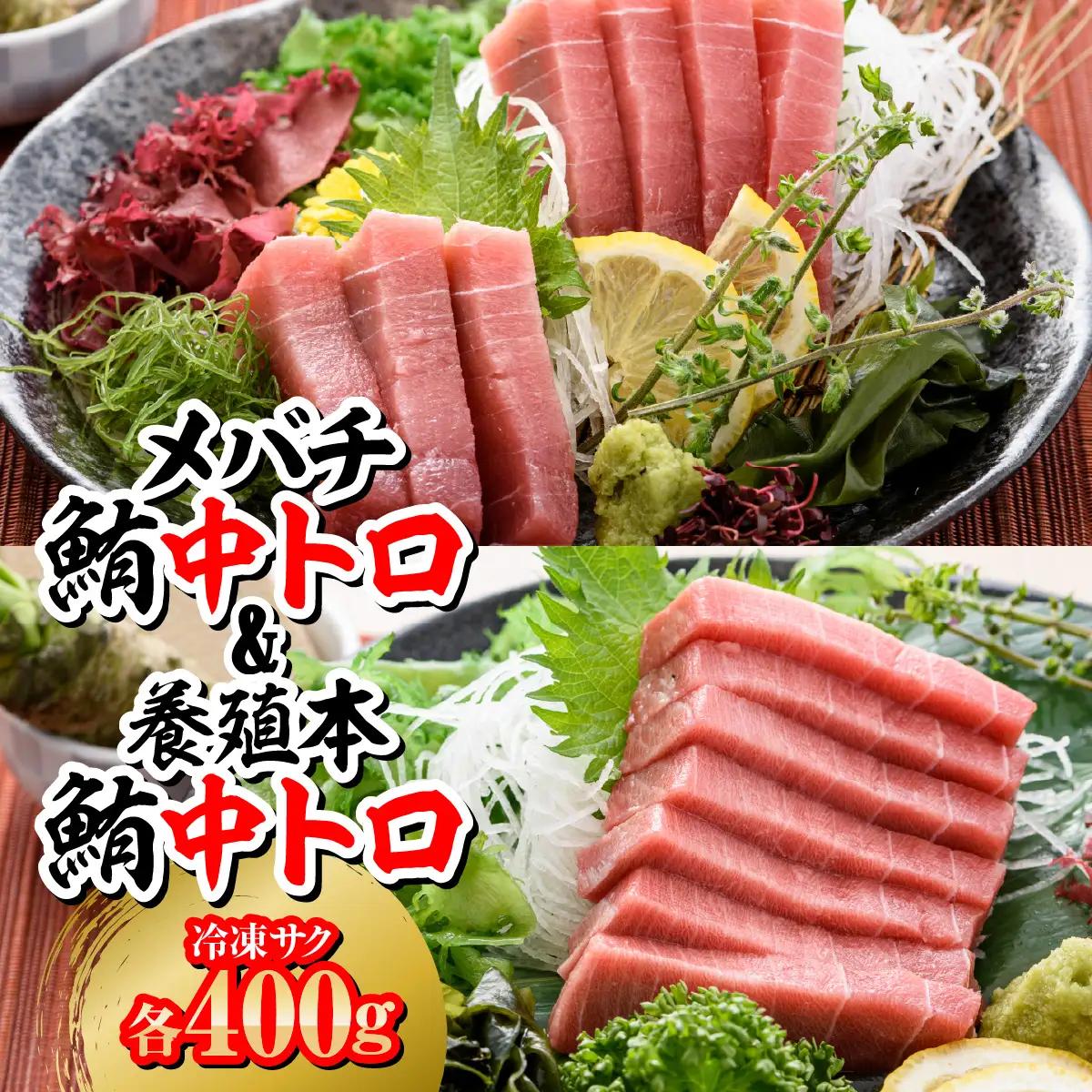 メバチ鮪中トロ400g＋養殖本鮪中トロ400g MBT007