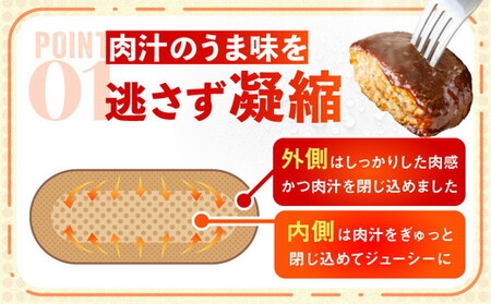 【先行予約】 4月以降順次発送 直火焼ハンバーグ デミグラスソース 22個セット（計3kg超え） ハンバーグ デミグラス 冷凍ハンバーグ 個包装 デミグラスハンバーグ 簡単調理 国内製造ハンバーグ 湯