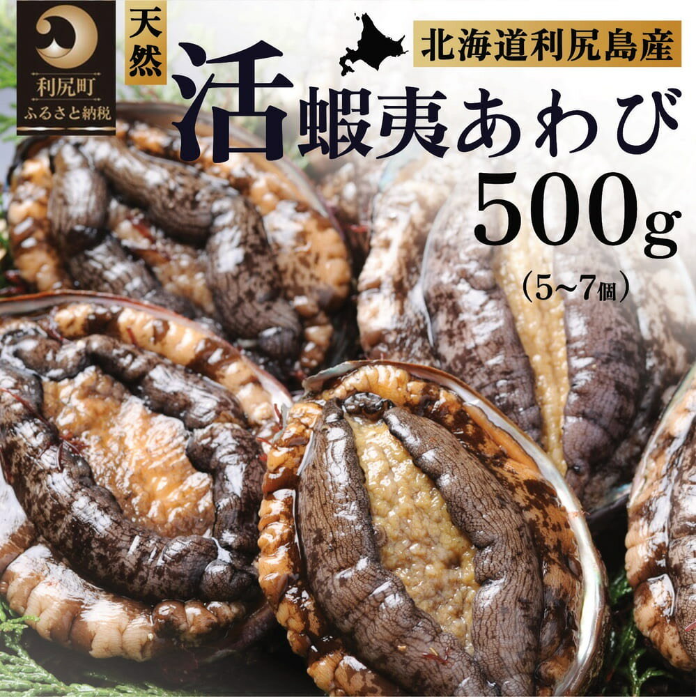 【ふるさと納税】【2025年10～12月発送受付】天然蝦夷『活』アワビ500g　利尻島産【期間限定】利尻昆布を食べて育った美味しいあわび お正月 おせち 刺身 北海道 利尻 エゾアワビ