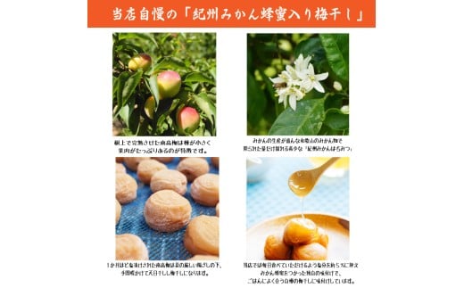 M024　粒よりおいしい梅干１２粒〔紀州みかん蜂蜜入り梅干〕