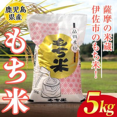ふるさと納税 伊佐市 鹿児島県産もち米(5kg)  伊佐米 isa809