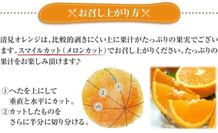 清見オレンジ約5kg / 果実サイズおまかせ ※2026年2月中旬～2026年4月下旬頃発送予定　紀伊国屋文左衛門本舗【ntb400B】