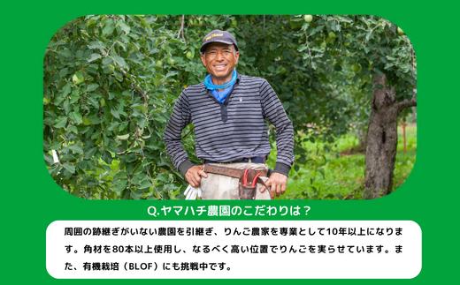 りんごジュース ( 完熟 サンふじ ) 1000ml × 6本 無添加 酸化防
