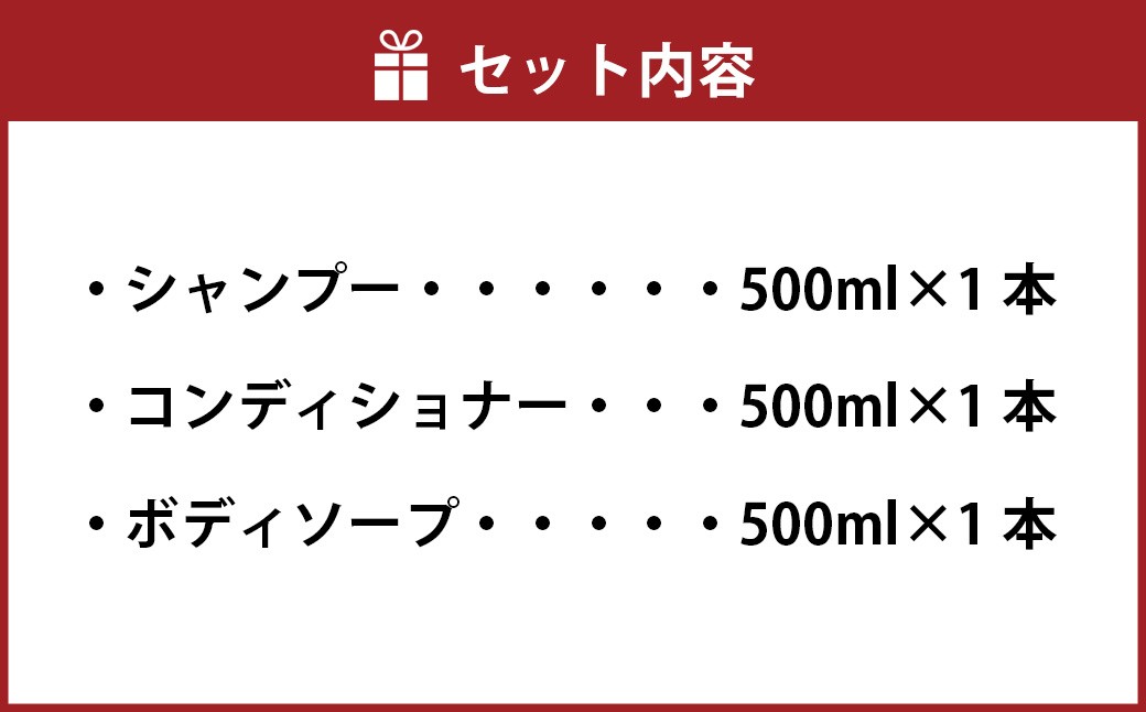炭 シャンプー コンディショナー ボディソープ 3本セット 日本製