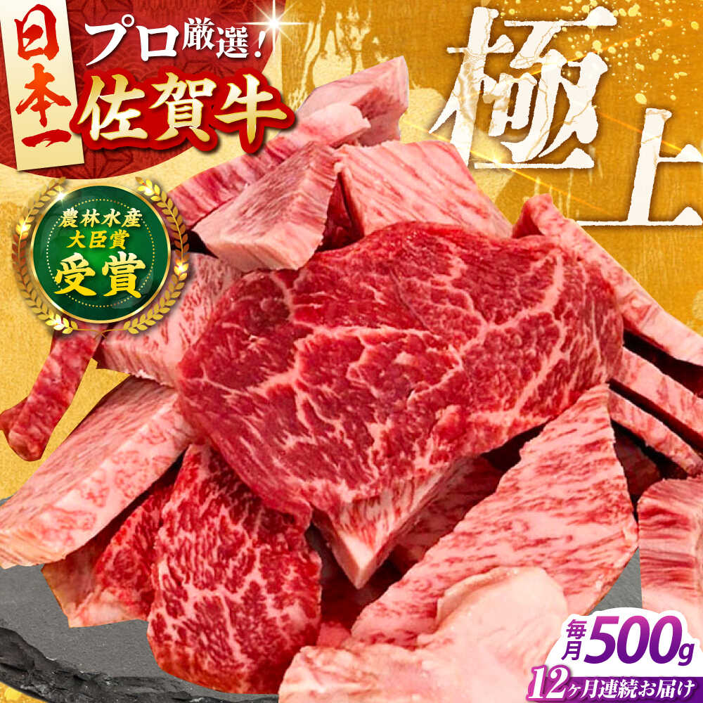【ふるさと納税】【全12回定期便】佐賀牛 焼肉用 ( カルビ ・ 赤身 ) 500g 【田中畜産牛肉店】 佐賀牛 牛肉 精肉 肉 切り落とし[HBH156]