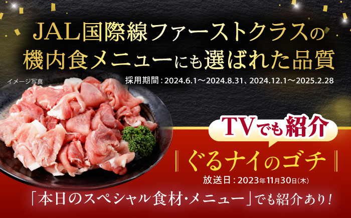 諫美豚ハンバーグ 10個（各150g）計1.5kg / 豚肉 ハンバーグ はんばーぐ おかず 惣菜 冷凍 / 諫早市 / 土井農場 [AHAD064]